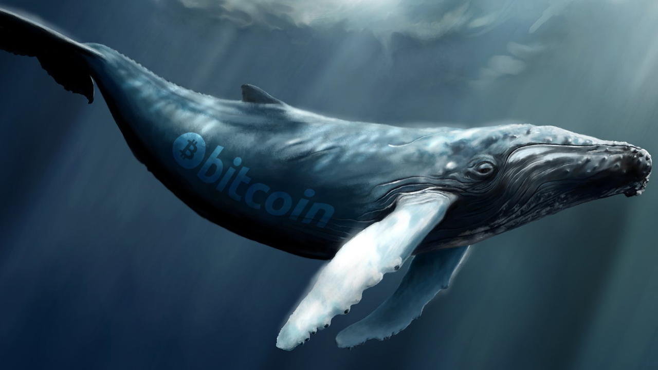 Whale gasta 10,000 BTC por valor de $ 203 millones, Bitcoins provienen del infame 2011 Mt Gox Hack