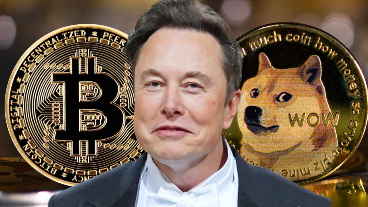 Elon Musk: Bitcoin lo logrará, Dogecoin a la luna